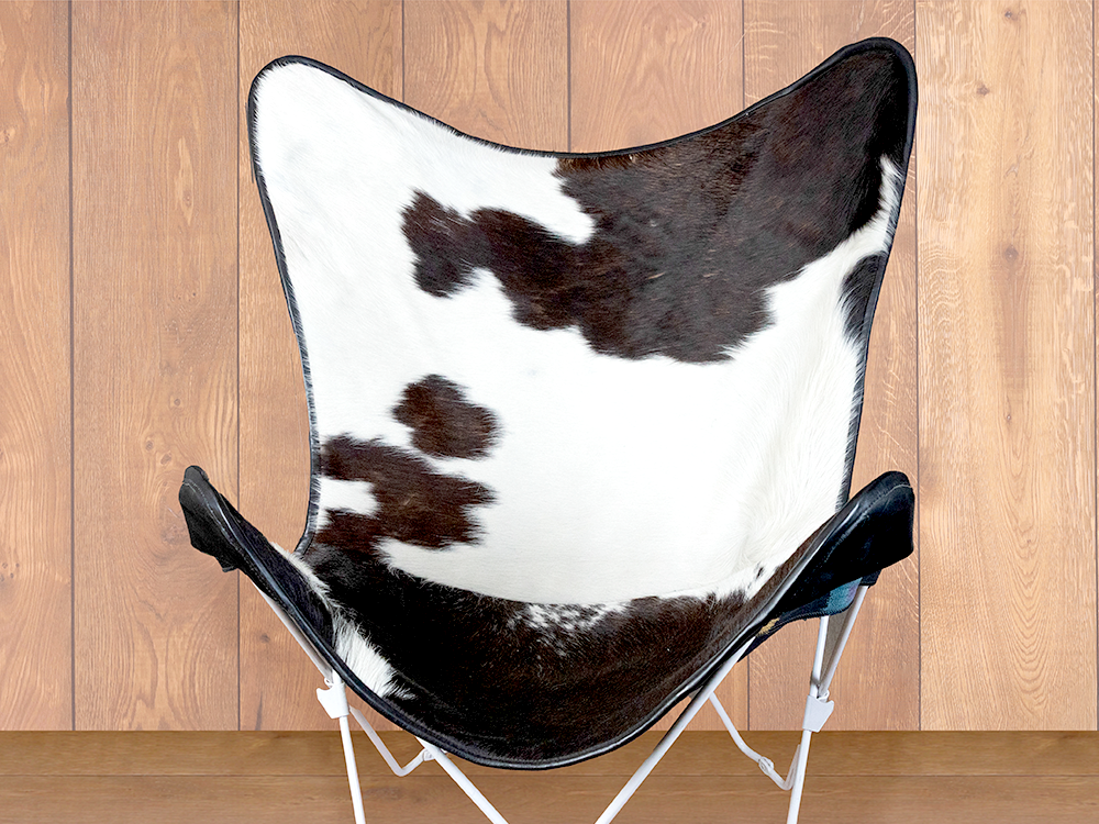 Holstein