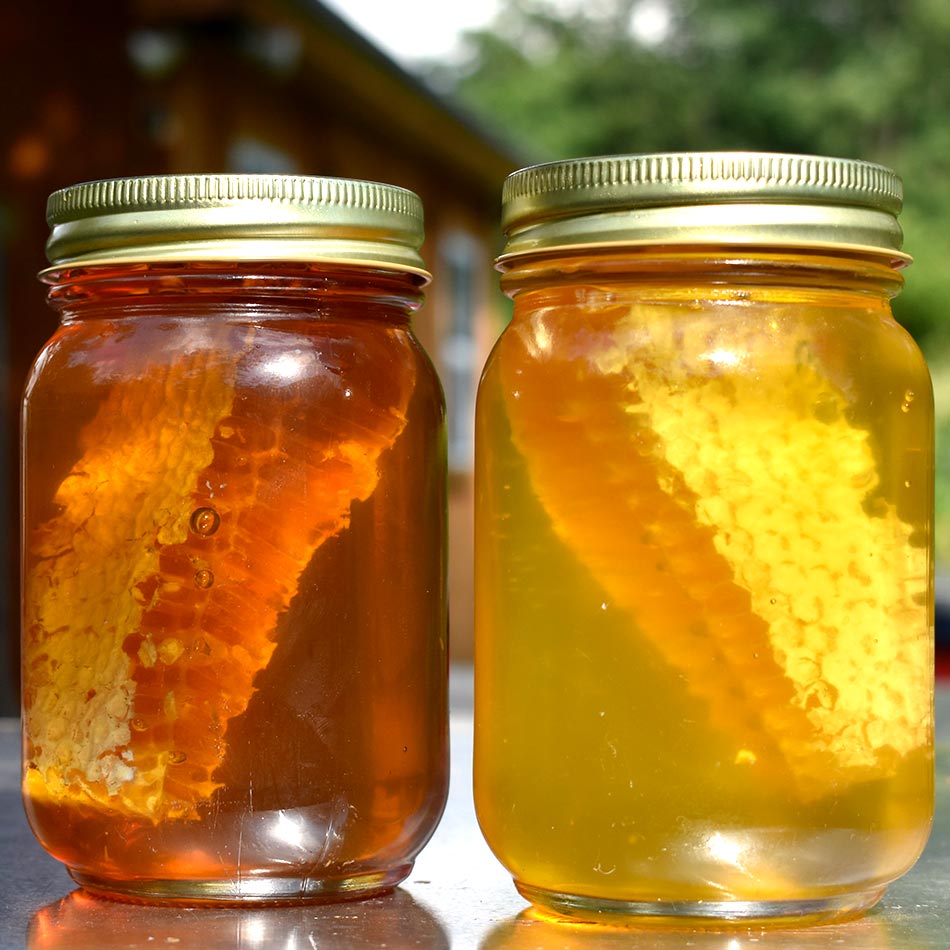 Comb Honey - Sold out until summer 2025