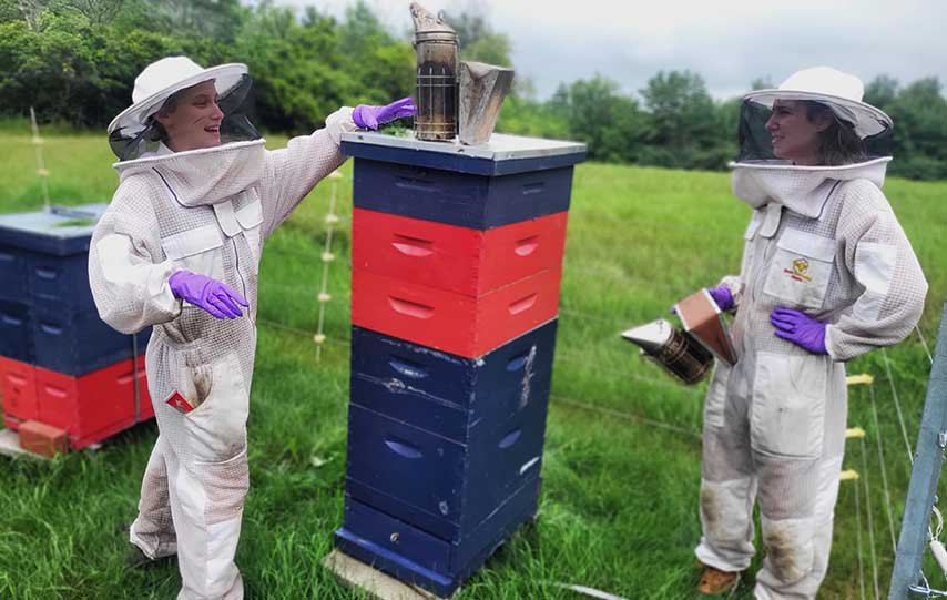 Vermont Bee Lab at UVM