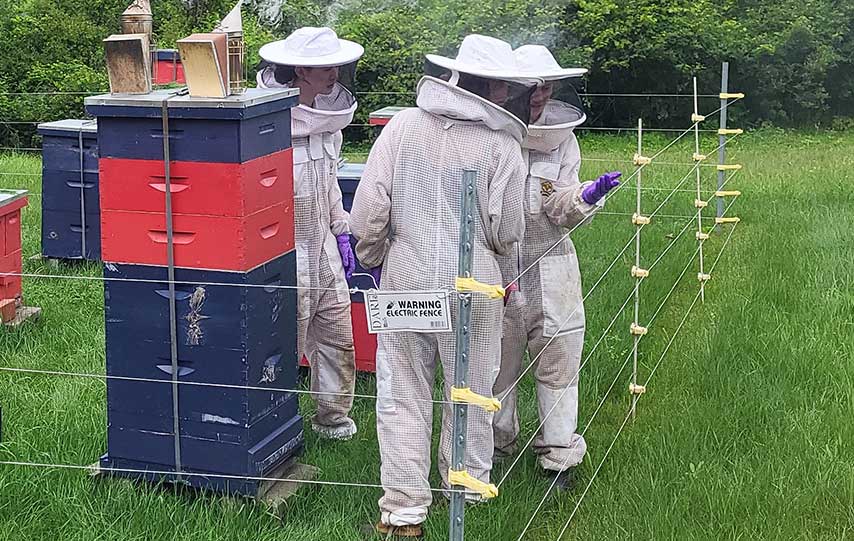 Vermont Bee Lab at UVM