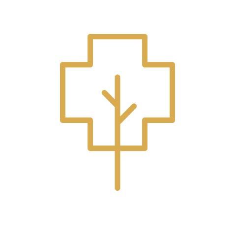 Dr Michael Kennedy, M.D. | General Surgery