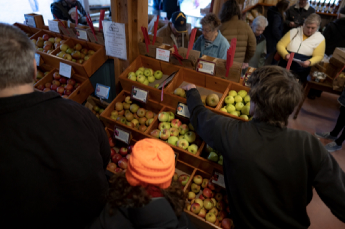 Heirloom Apple Day