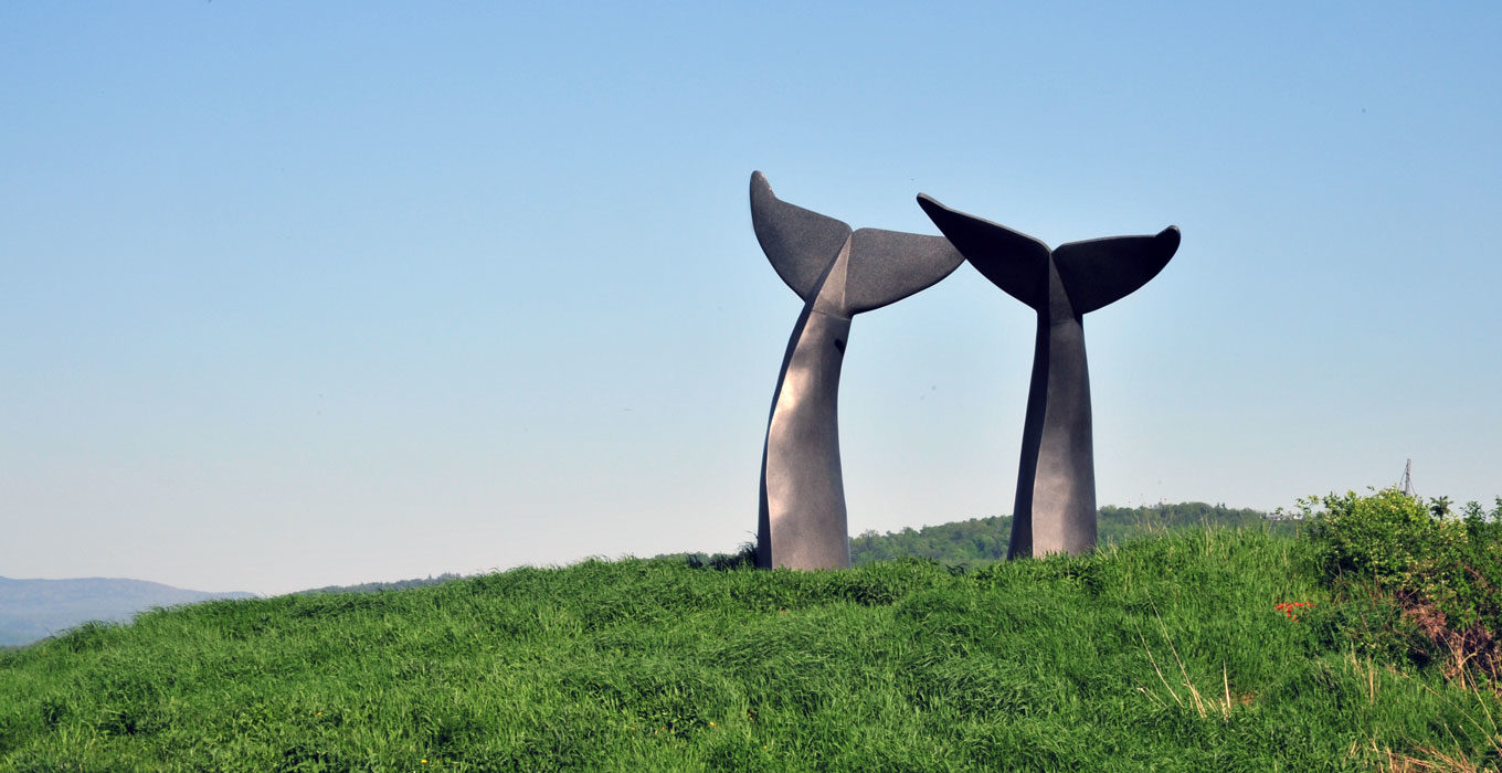 Vermont’s Iconic “Whale Tails”