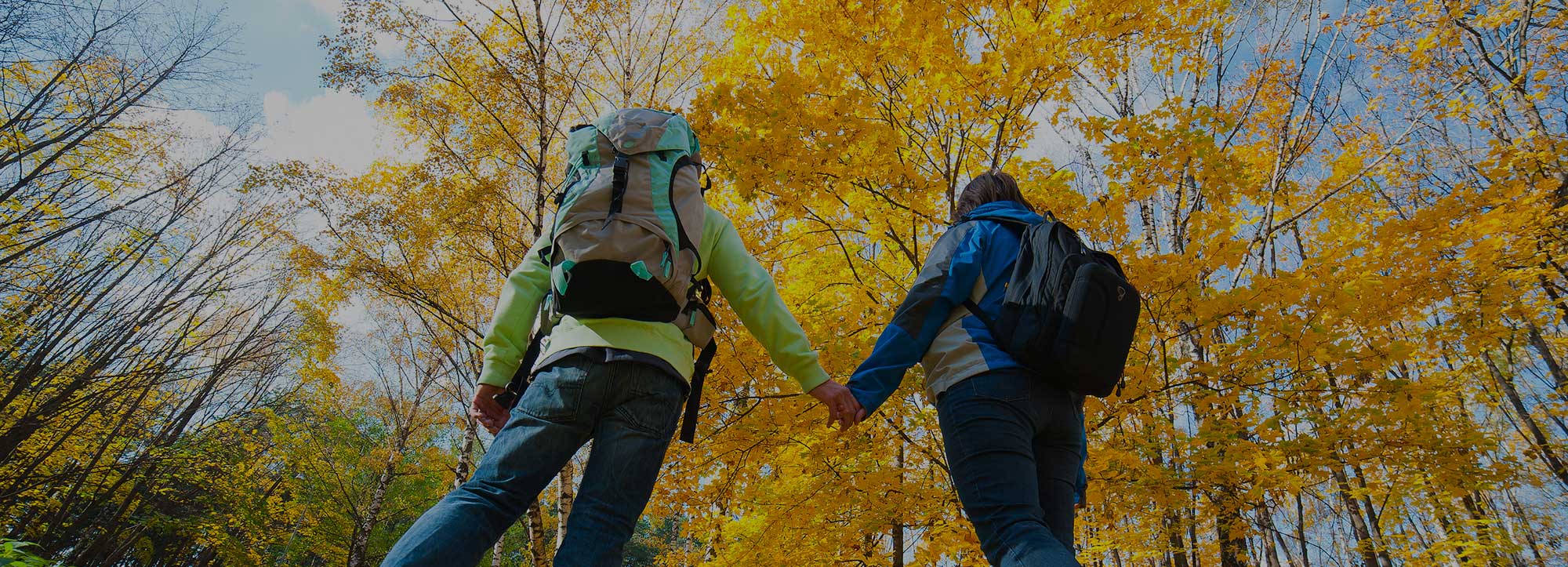 Follow Your Own Path