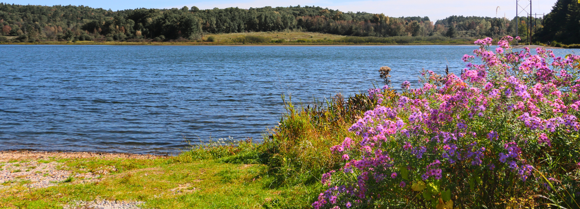 Breathe Easy by the Lake This Spring