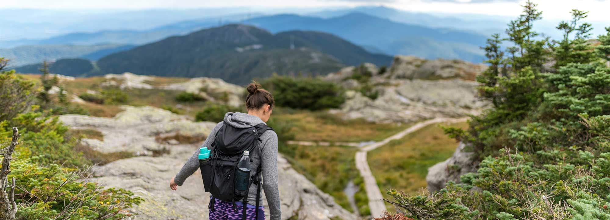 Explore Scenic Paths & Trails