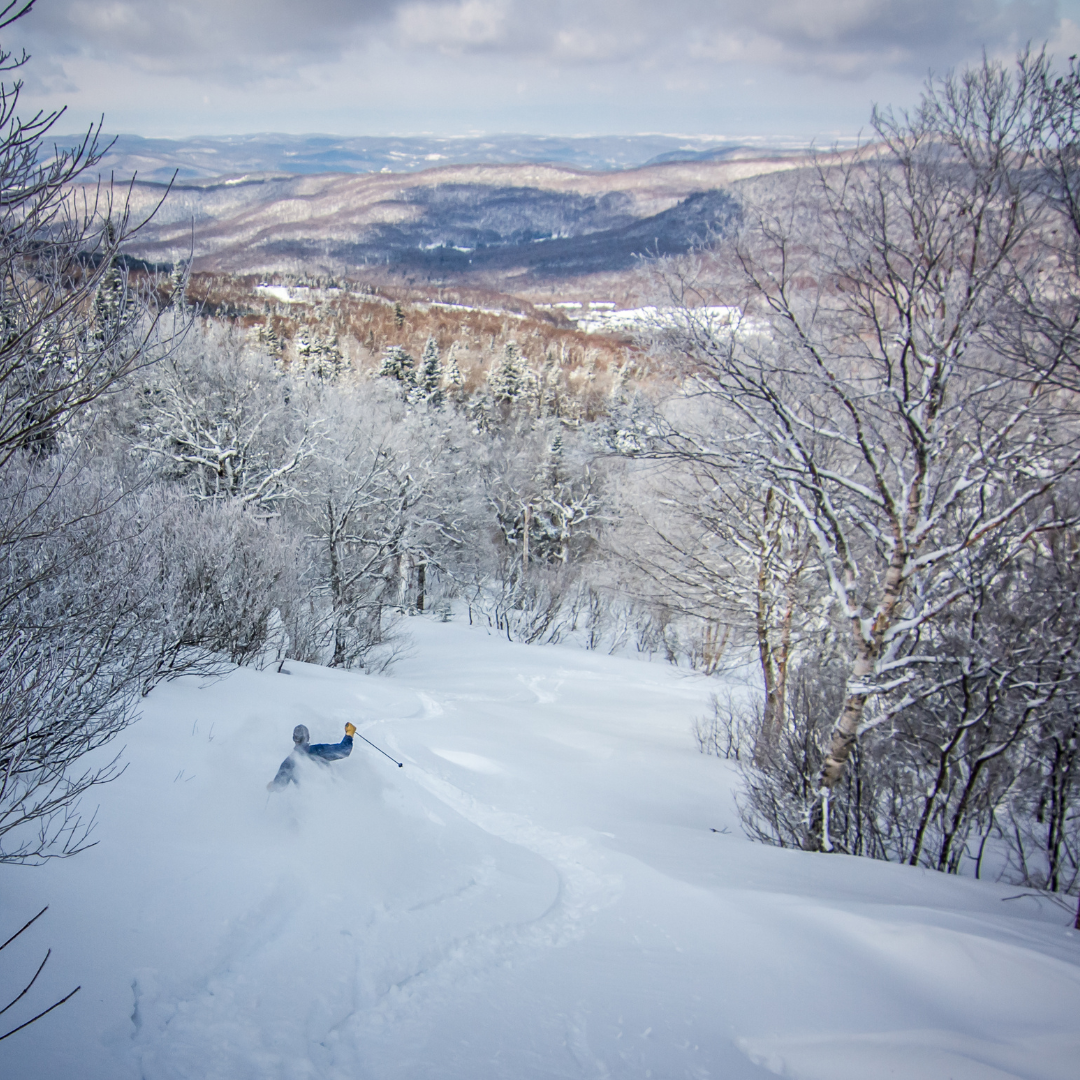 From The Lakeshore | Winter 2025