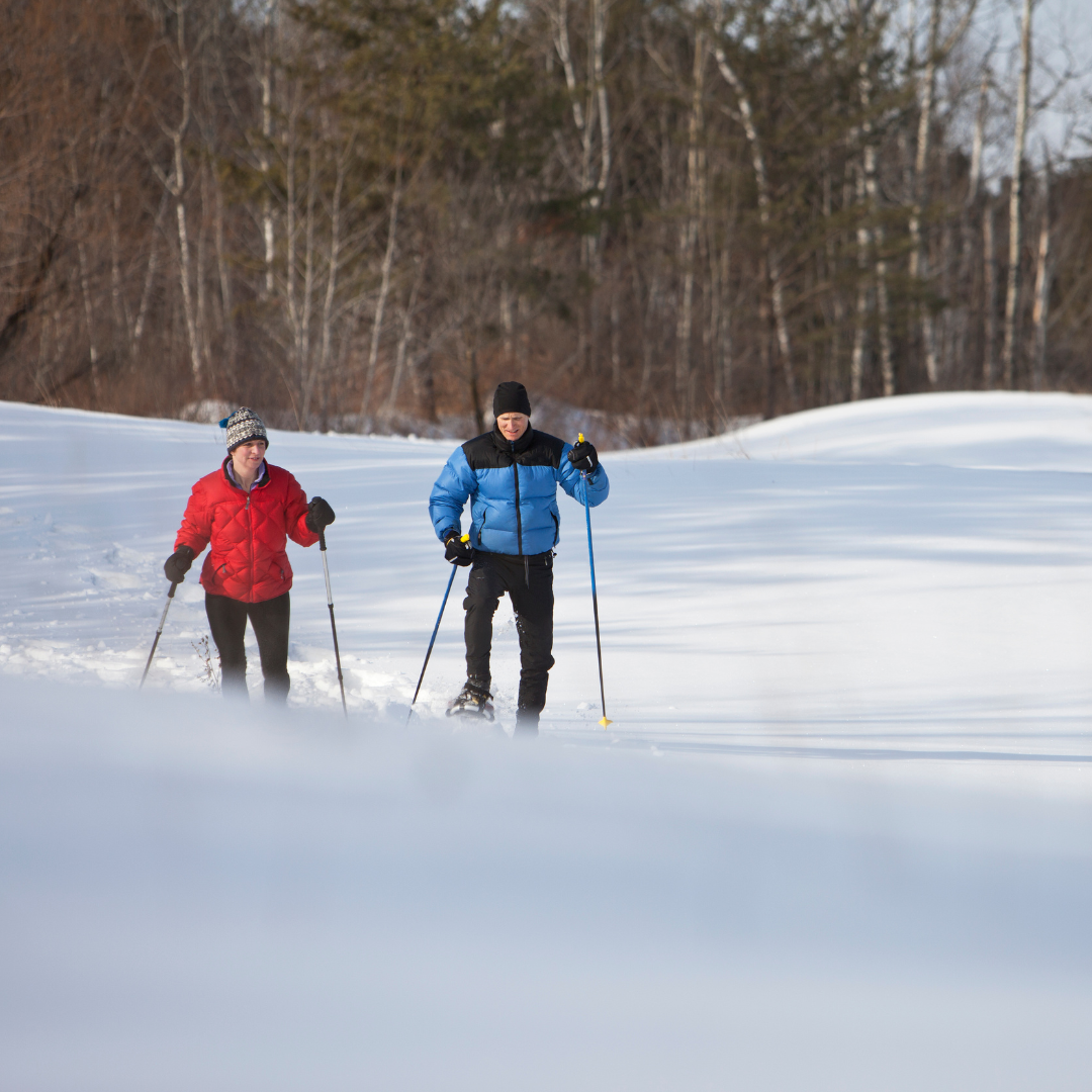 From The Lakeshore | Winter 2025