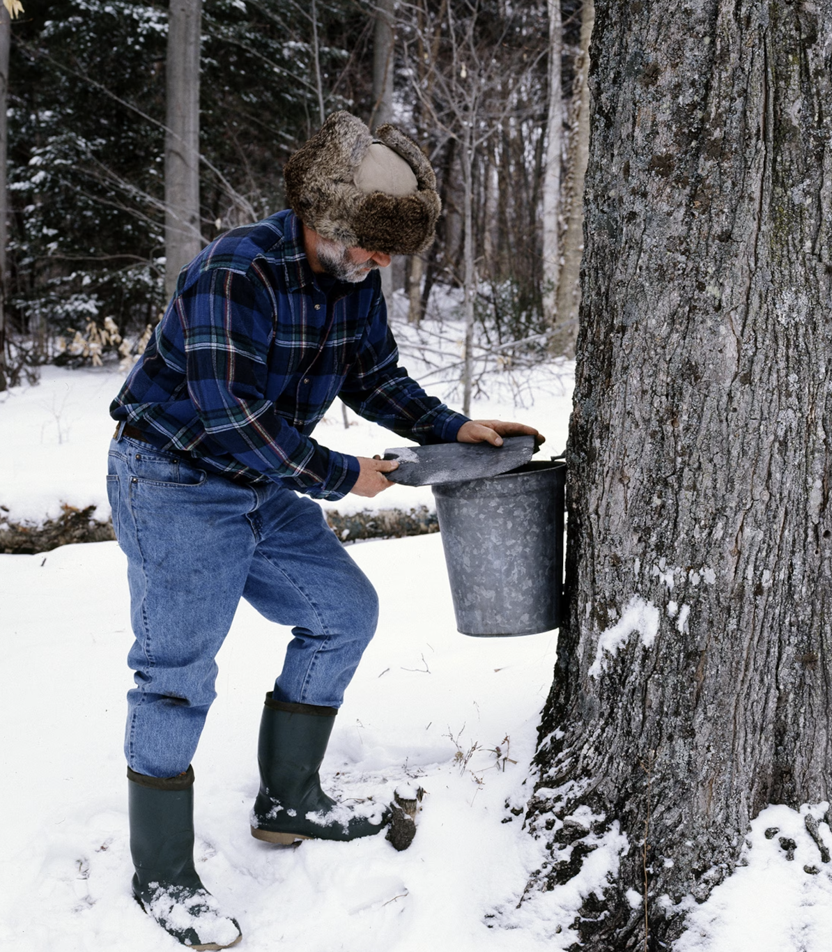 It’s maple syrup season. Here’s where to taste Vermont’s best.