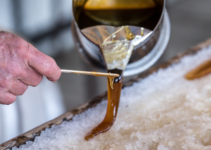 From The Lakeshore | Spring 2026