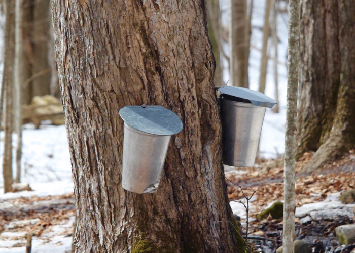 From The Lakeshore | Spring 2026