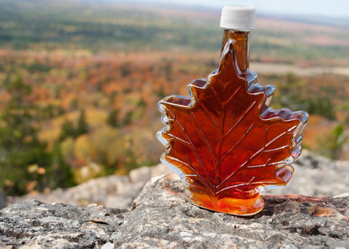 From The Lakeshore | Spring 2026