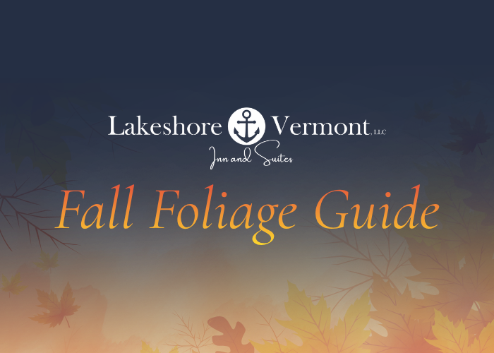 Lakeshore Vermont’s Fall Foliage Guide