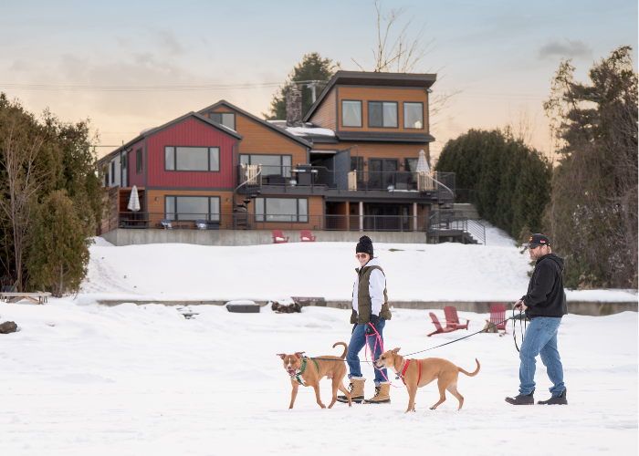 Lakeshore Vermont Pet Guest Guide: Pet-Friendly Stays in Colchester