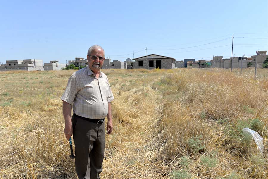 Agricultural and Livestock Farm - Ameel