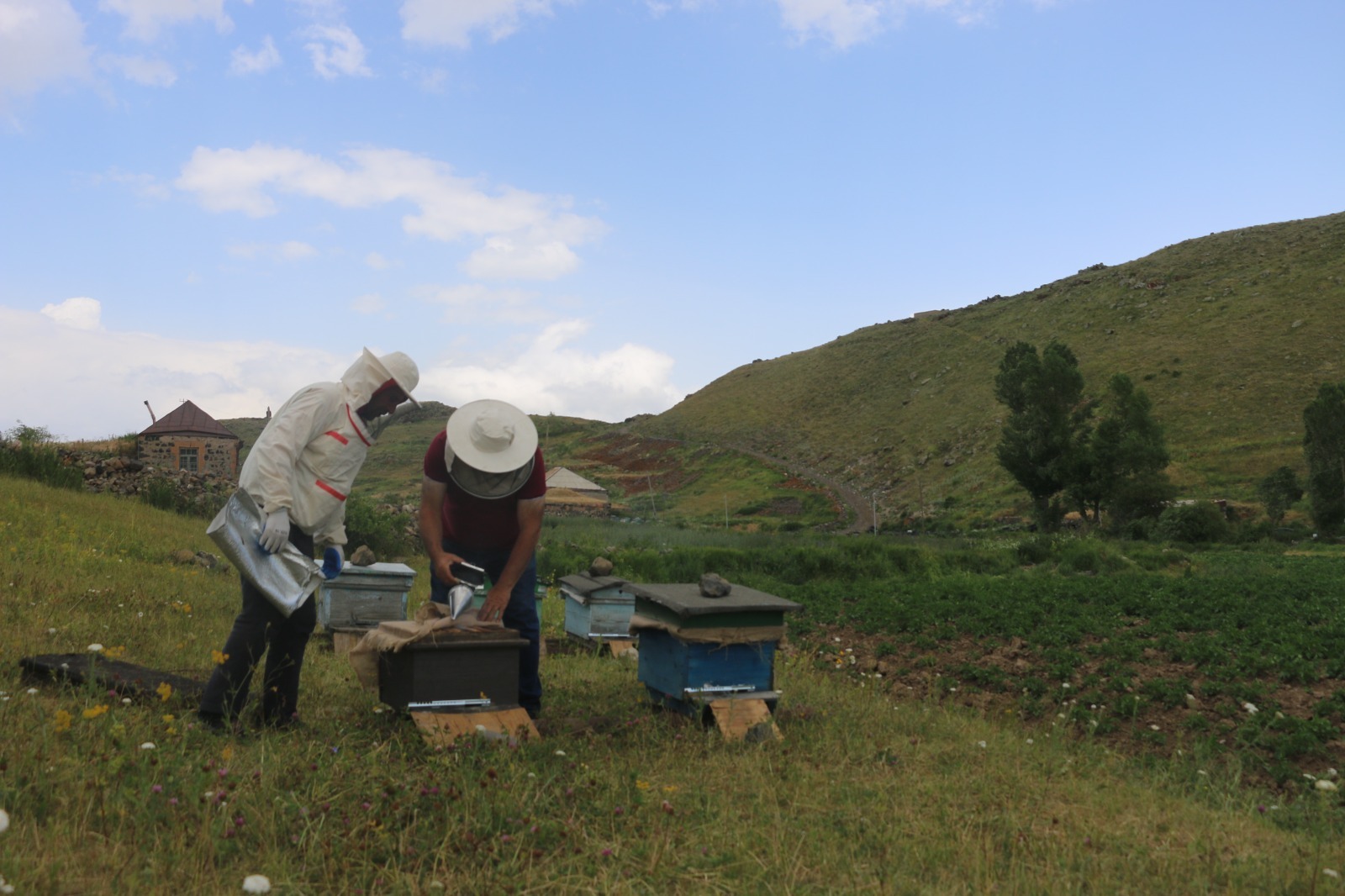 Beekeeping Business