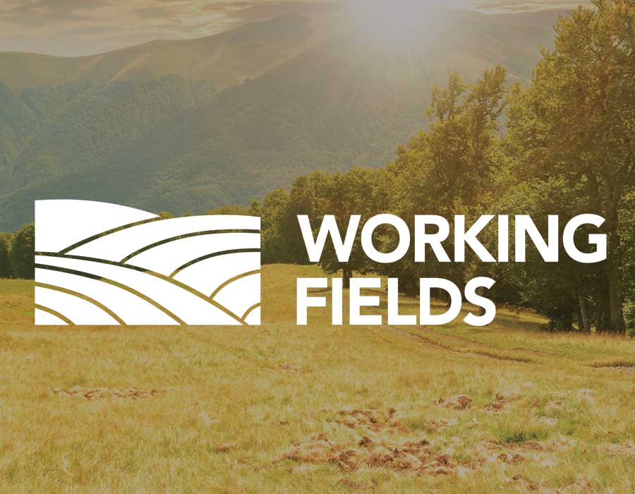 Working Fields
