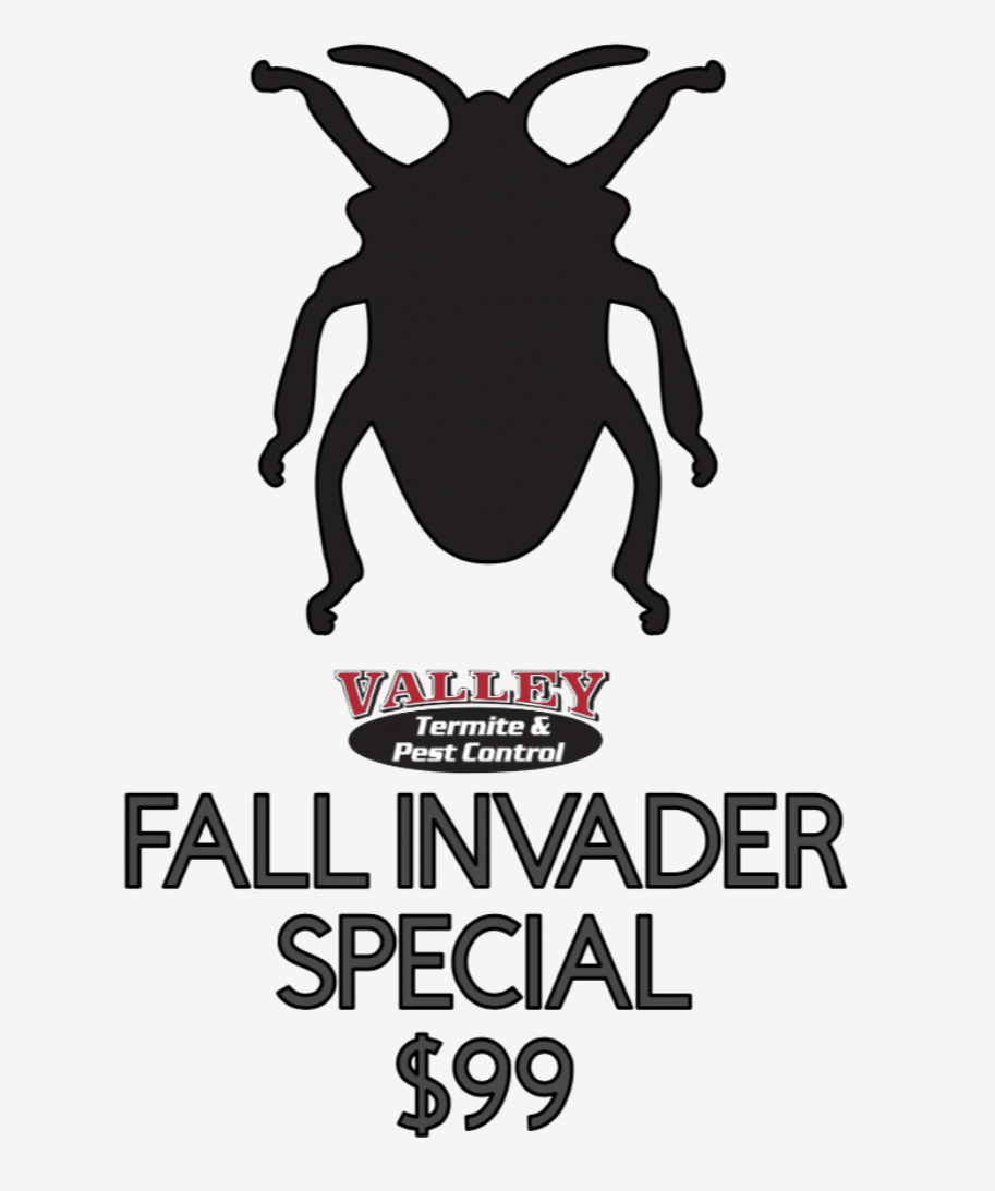 Limited Time Offer: Fall Invader Special $99