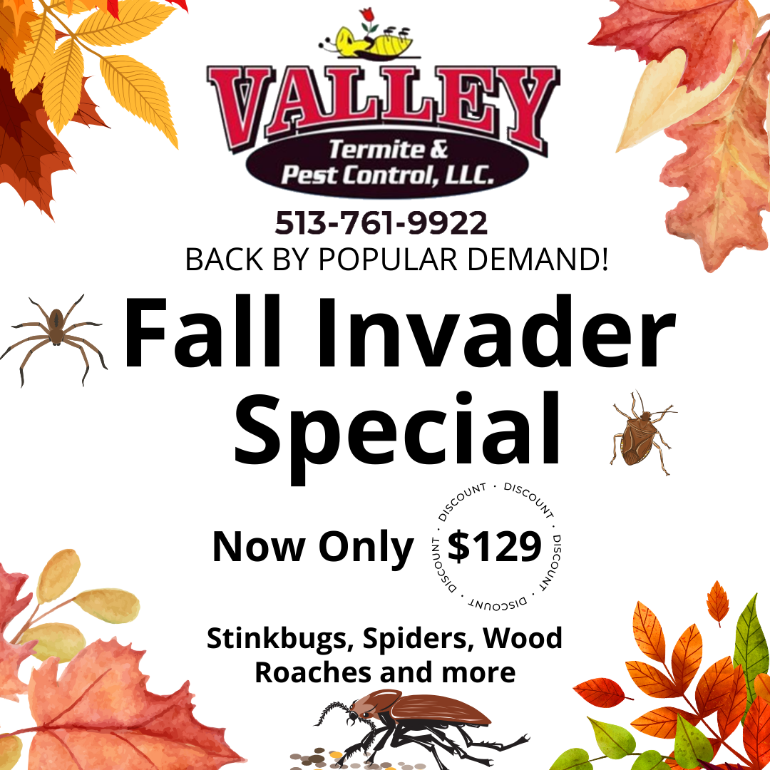 Current Special: New Fall Invader Special $129