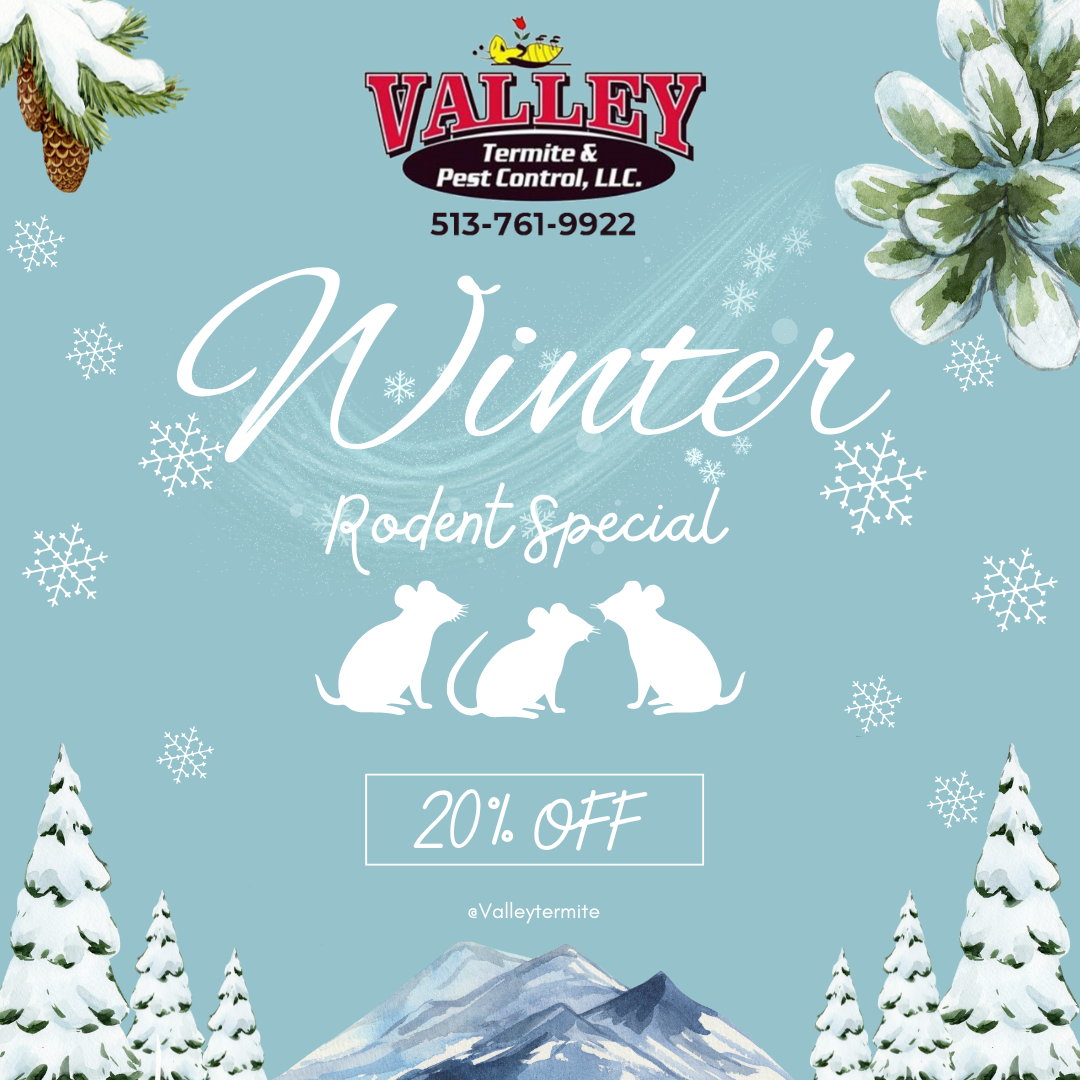 Winter Rodent Special