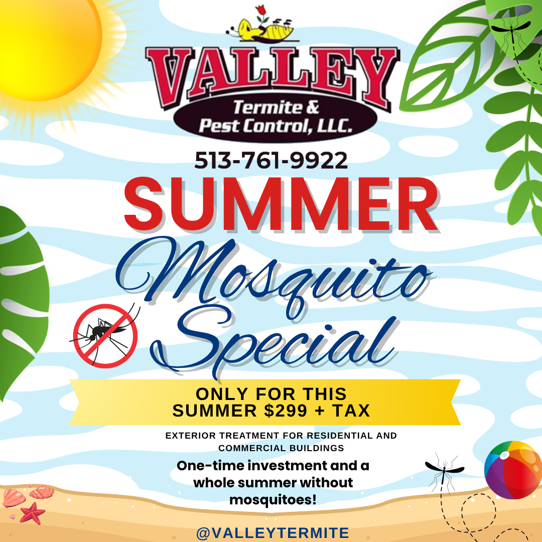 Summer Mosquito Special