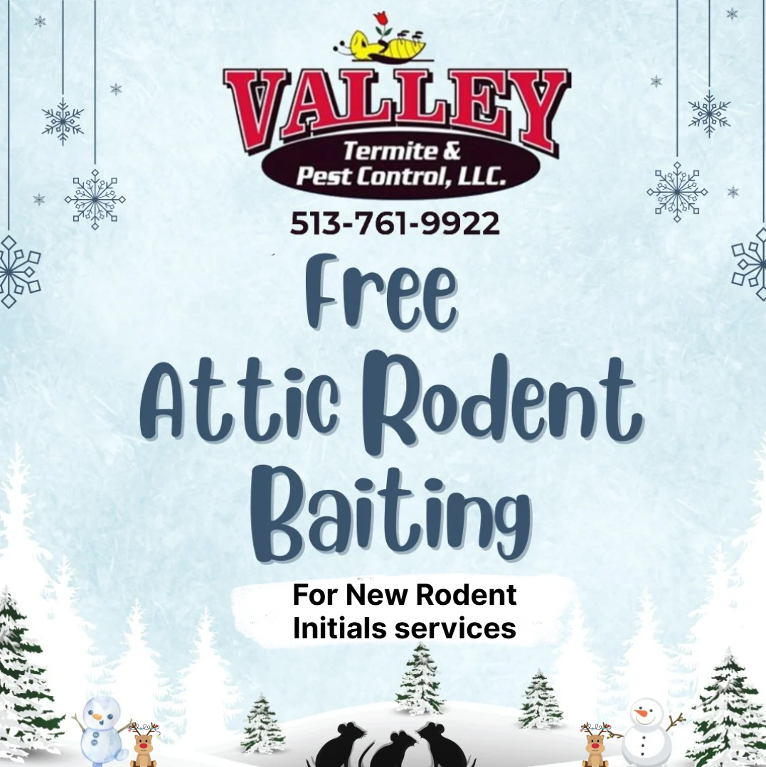 Winter Rodent Special