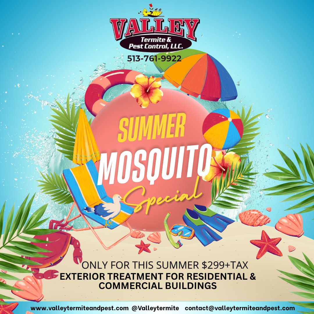 Summer Mosquito Special