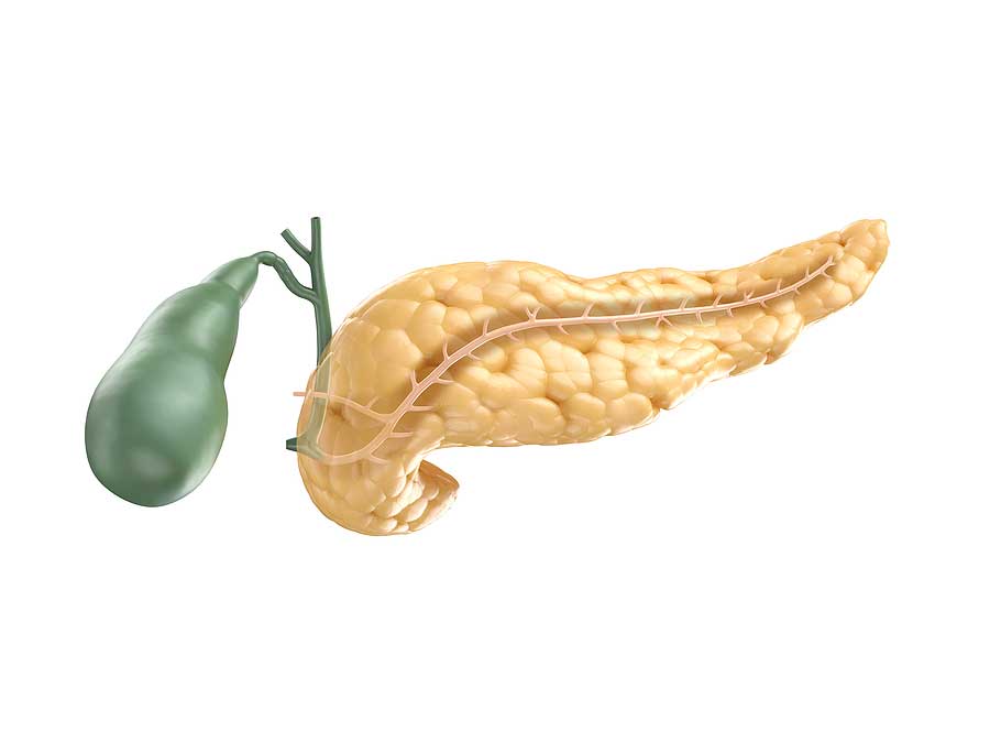 Gallbladder
